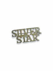Silver Star Lapel Pin