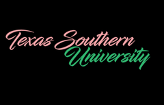 Chenille Texas Southern Tee